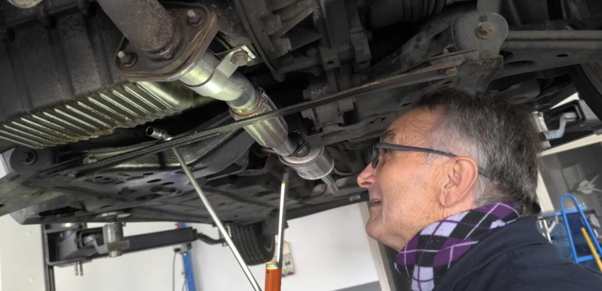 pino ceriv al lavoro sostituzione alternatore
